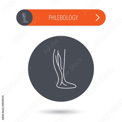 Phlebology icon. Leg veins sign.