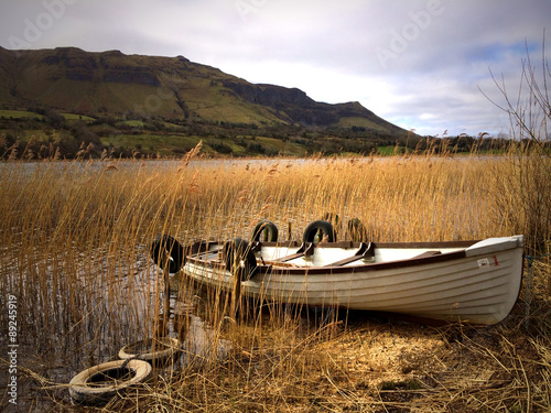 La Barca sul lago, Irlanda photo