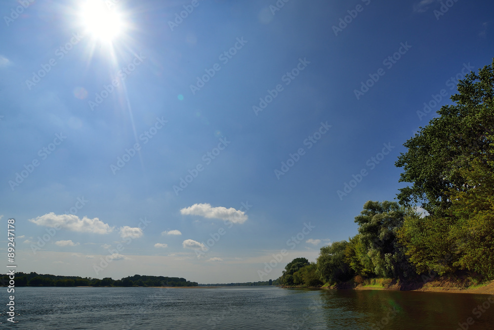 Wild bank of the river Vistula in Poland. - obrazy, fototapety, plakaty 