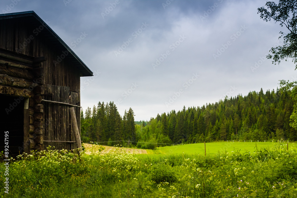 Obraz premium Old Barn And The Summer Fields