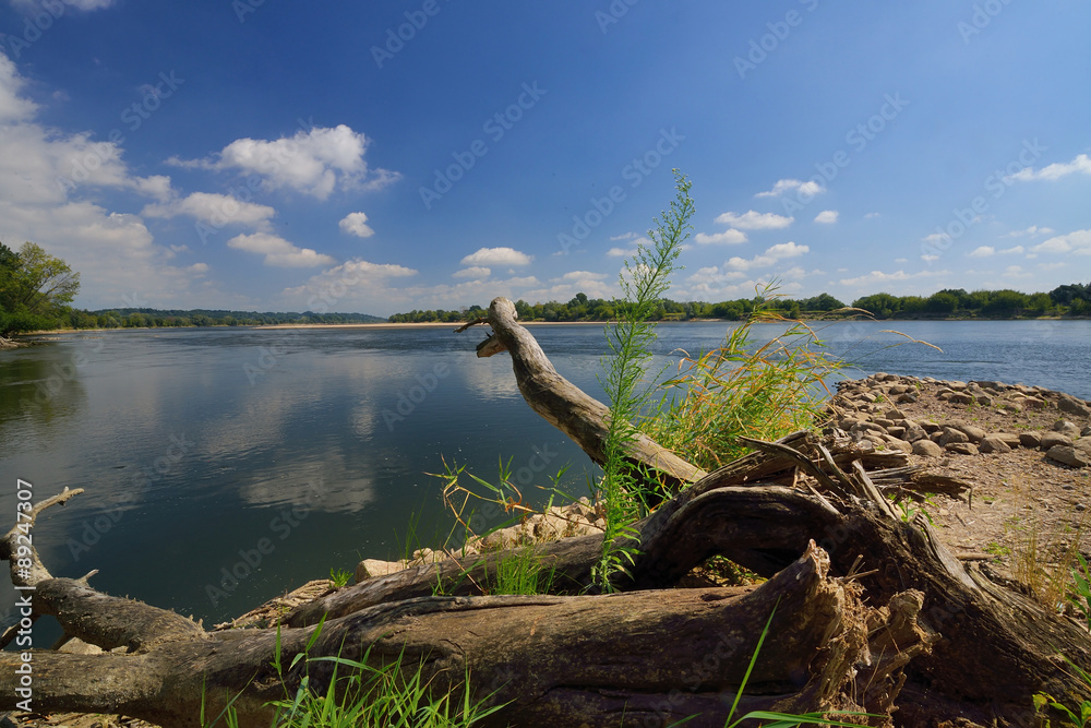 Wild bank of the river Vistula in Poland. - obrazy, fototapety, plakaty 