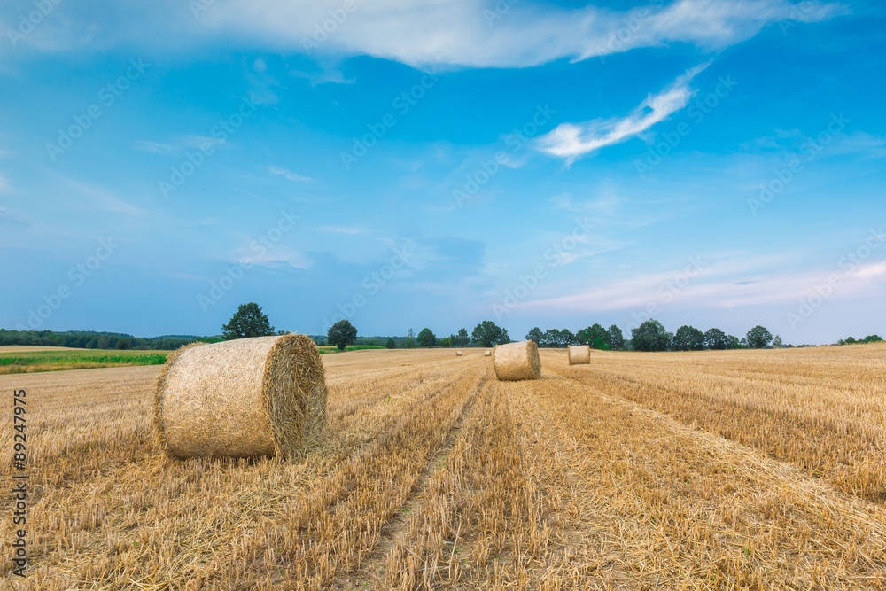 Fototapeta premium Stubble field with straw bales