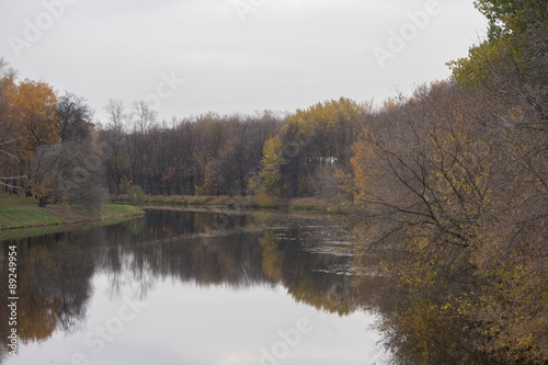 Fototapeta Naklejka Na Ścianę i Meble -  Autumn forest on the river..