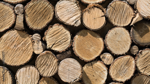 Pile of natural wooden logs background