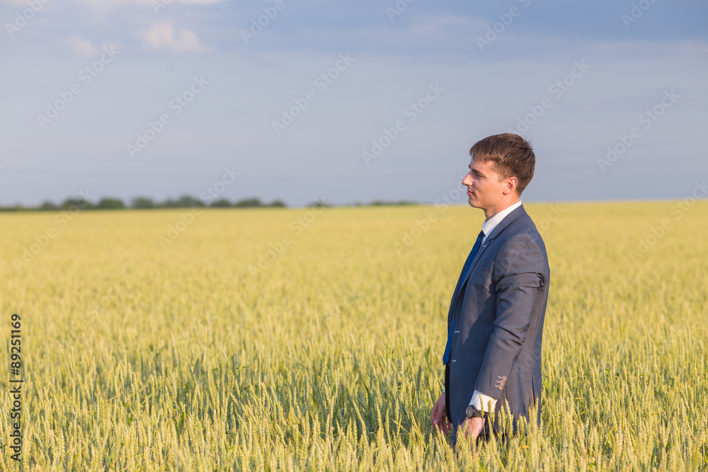 happy farmer, businessman, standing in wheat field with his hands and thumbs up happy farmer, businessman, standing in wheat field with his hands and thumbs up