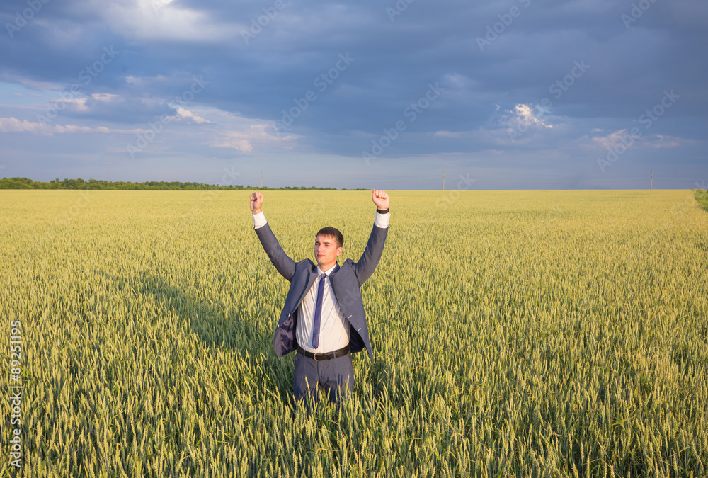Happy businessman standing on the field Happy businessman standing on the field