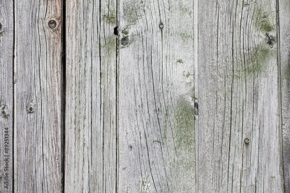 Naklejka premium Grey with green old wooden backgorund