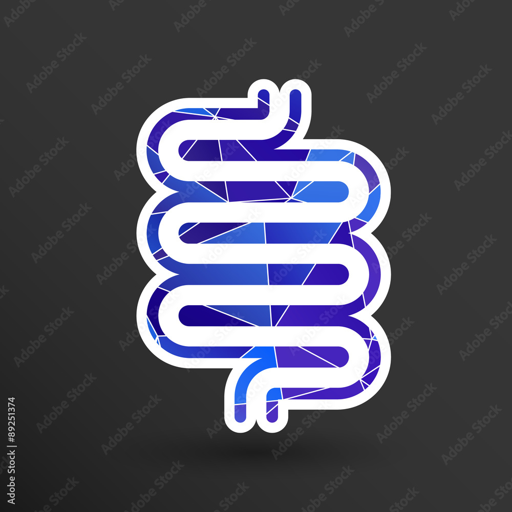 Flat modern design with shadow icons large intestine