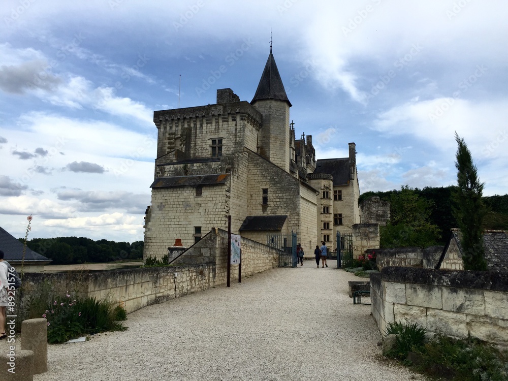 Il castello di Montsoreau - Loira, Francia
