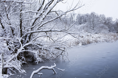 Eisbedeckter See im Winter