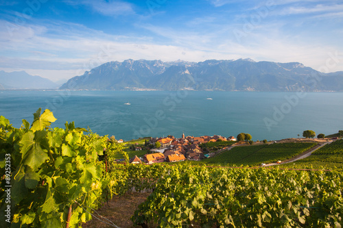 Vineyards of the Lavaux region,Switzerland