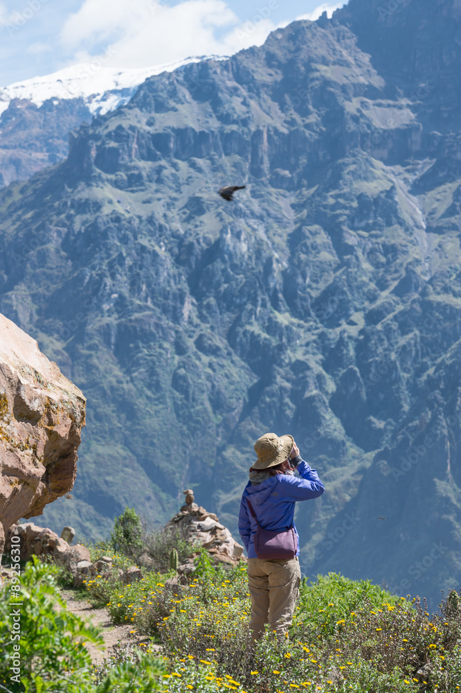 A Girl bird watching at Colca Canyon, Arequipa, Peru
