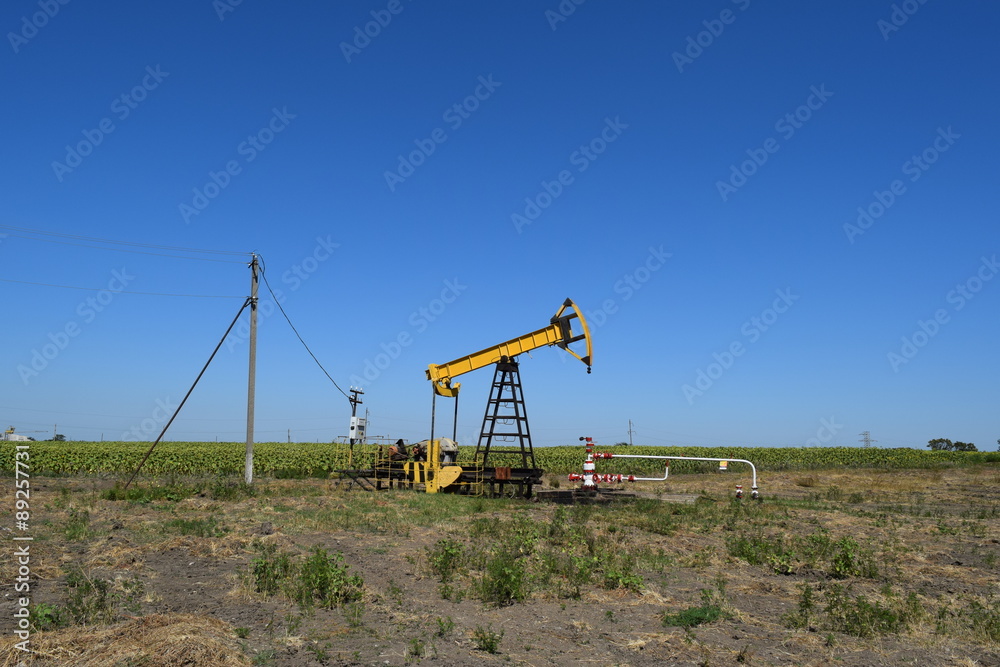 Fototapeta premium The pumping unit as the oil pump installed on a well