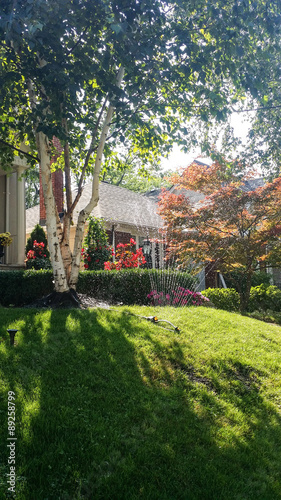 Photography Watering front yard with sprinkler