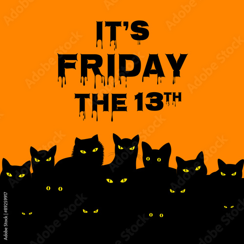 Friday 13 with black cats