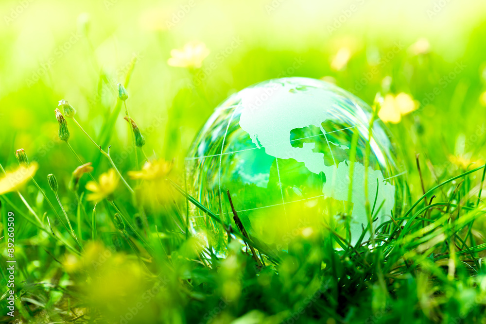 Green & Eco environment, glass globe in the garden