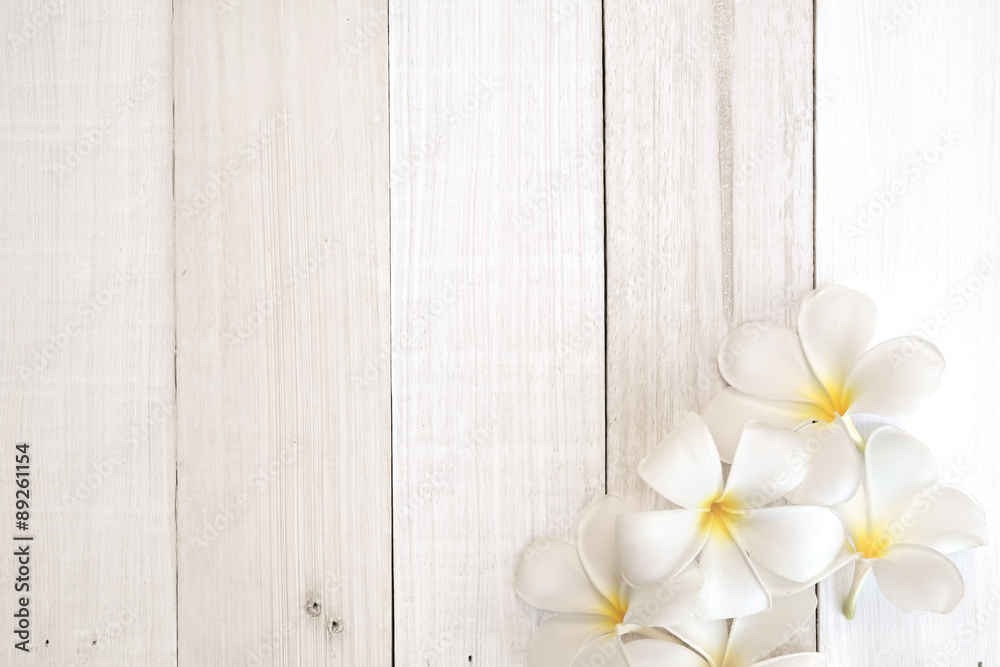 frangipani (plumeria) flowers in soft color and blur style on white wooden background
frangipani (plumeria) flowers in soft color and blur style on white wooden background