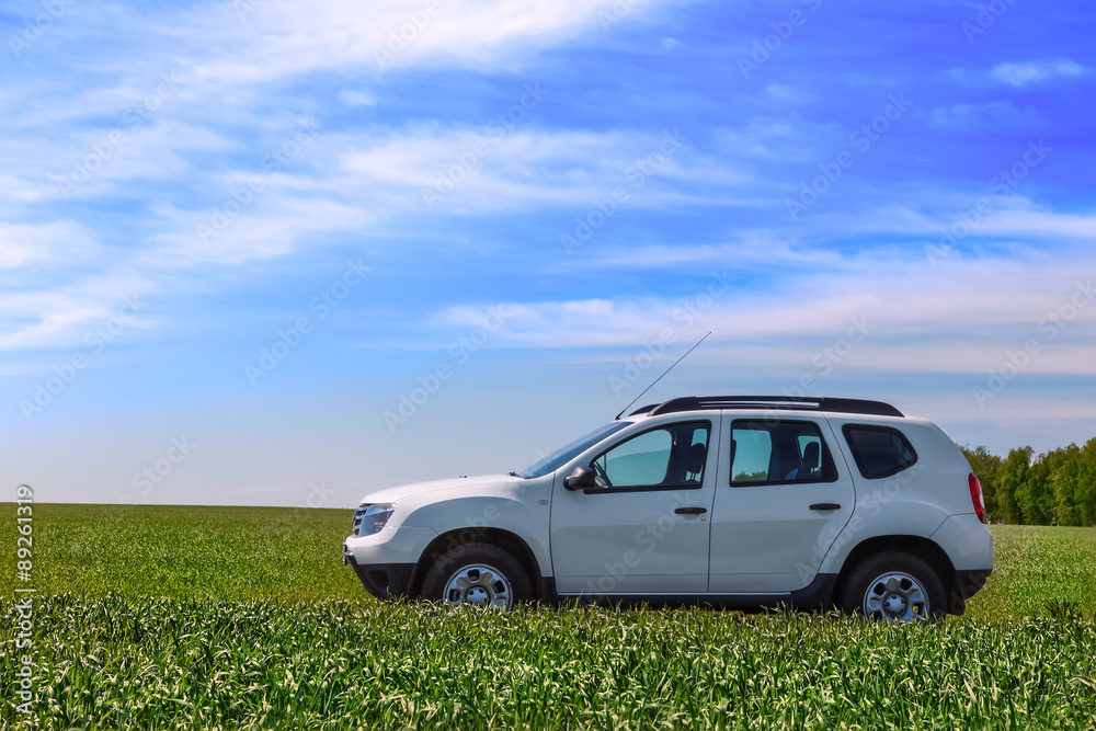 white SUV in the green field white SUV in the green field