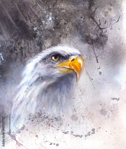 beautiful painting of  eagle on an abstract background  photo