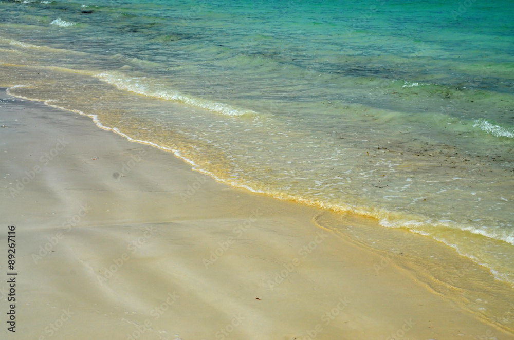 Caribbean Sea. Cayo Largo. Cuba
Wild Coast with turquoise sea Caribbean Sea. Cayo Largo. Cuba
Wild Coast with turquoise sea