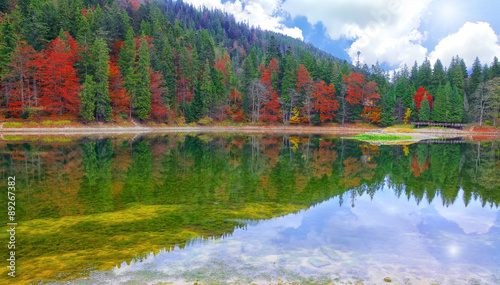 picturesque lake in the autumn forest