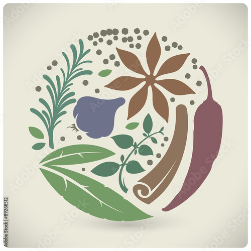 Different vector spices in a circle