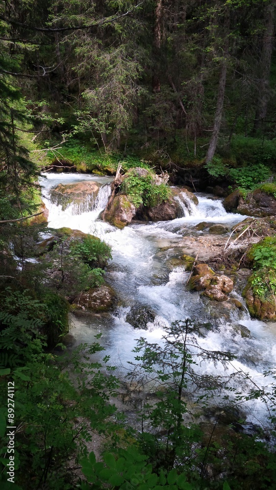 Fototapeta premium torrente alta montagna