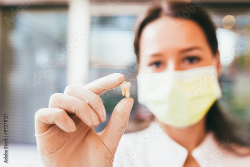 Young dentist is holding tooth - dentist office