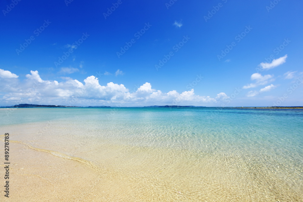 Fototapeta premium 透明な海