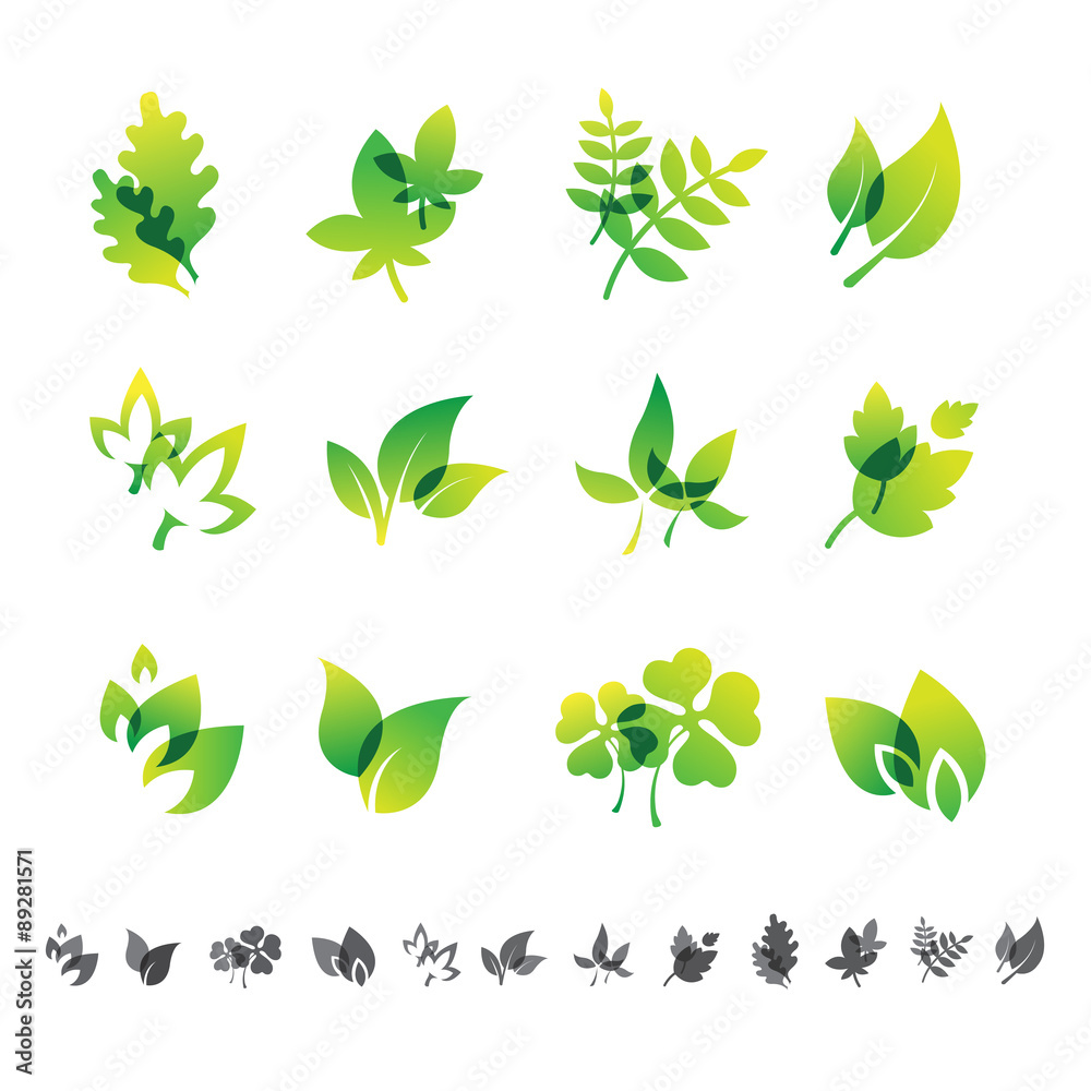 Set of 12 botanical icons. Set of 12 botanical icons.