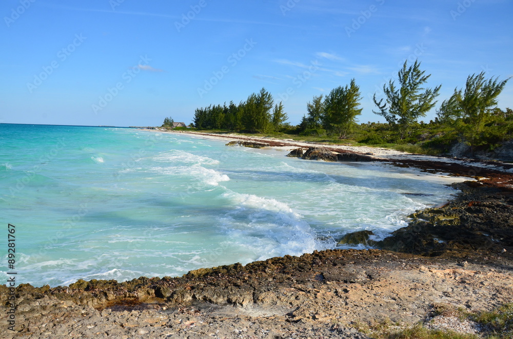 Caribbean Sea. Cayo Largo. Wild Coast with turquoise sea - Cuba
Caribbean Sea. Cayo Largo. Wild Coast with turquoise sea - Cuba
