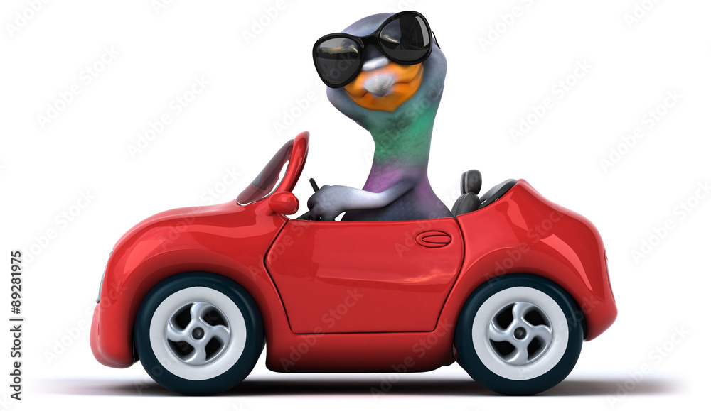 Fun pigeon Fun pigeon