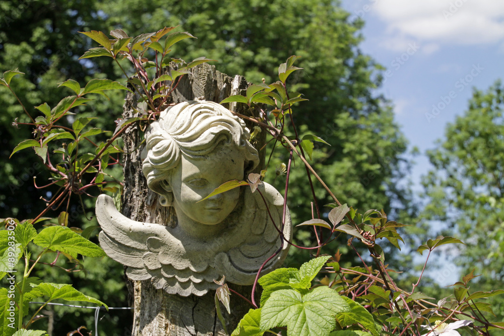 Obraz premium Engelkopf als Gartendekoration