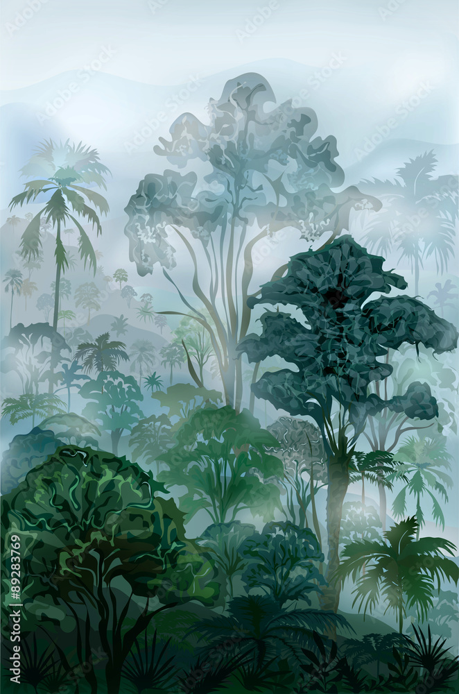 Fototapeta premium Tropical rainforest