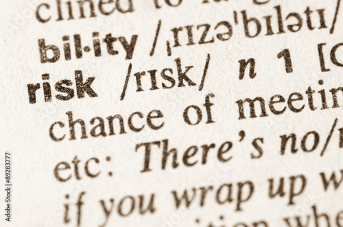 Dictionary definition of word risk