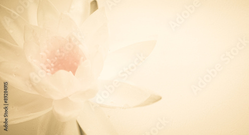 sweet color lotus in soft color and blur style on mulberry paper texture
