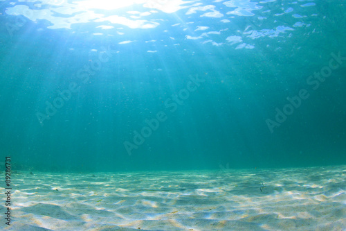 Underwater Ocean Background Photo