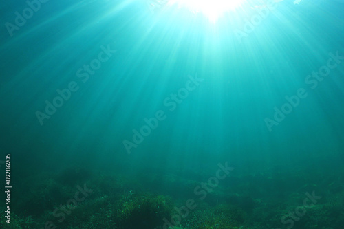 Underwater Ocean Background Photo © Richard Carey