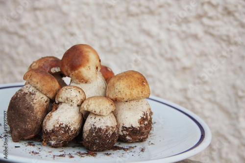 Plate full of fresh Porcini mushrooms