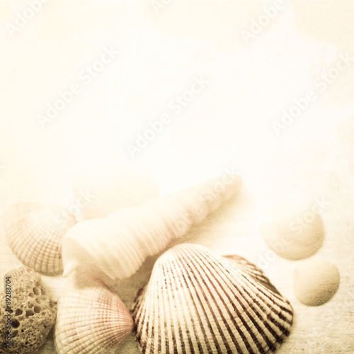 shells with sand in vintage color style
