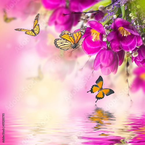 Blue tulips with mimosa and butterfly