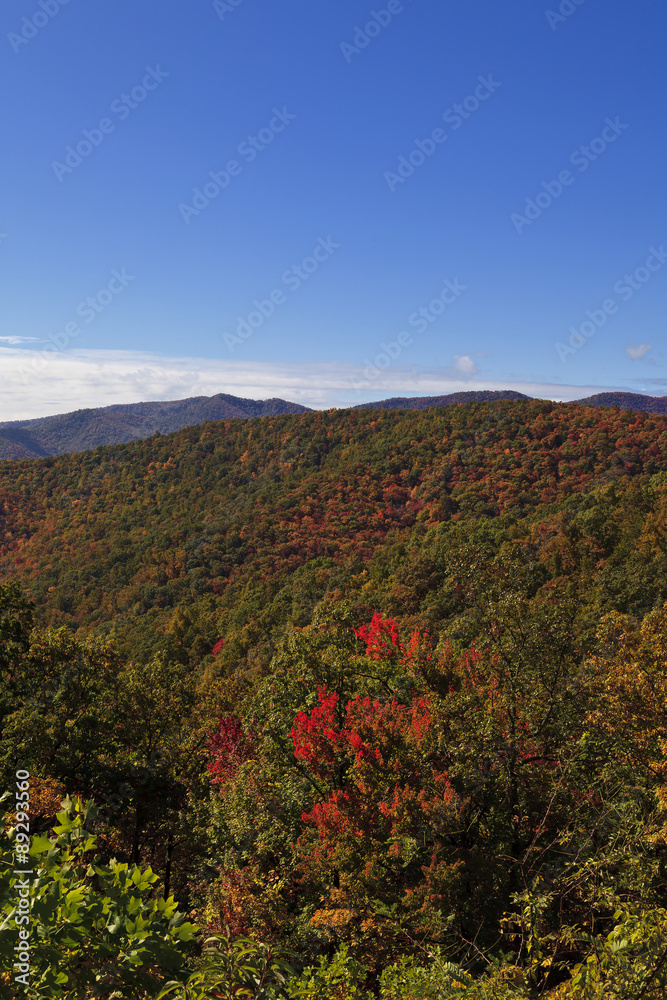 North Carolina Mountains in the Fall