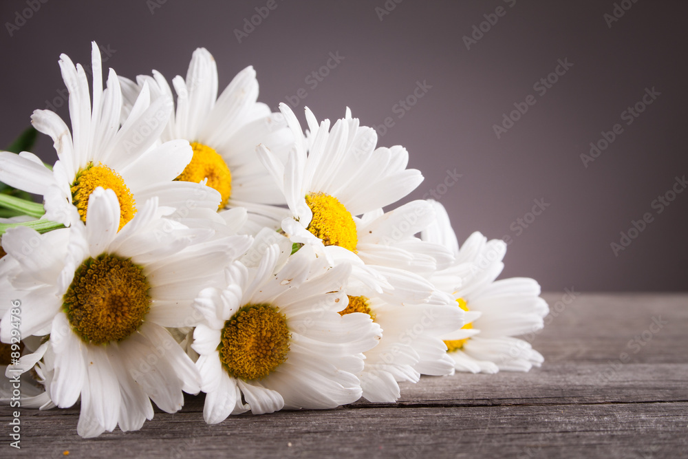 Obraz premium Leucanthemum vulgare on a wooden table
