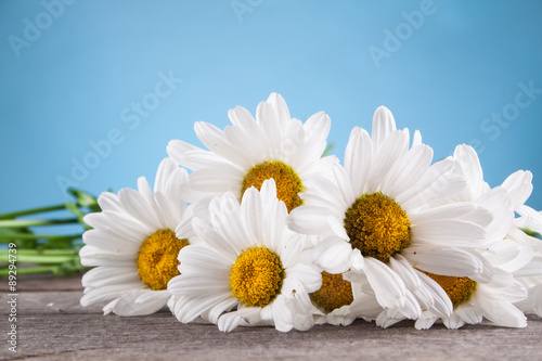 Leucanthemum vulgare on a wooden table