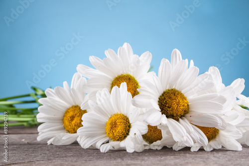 Fototapeta Naklejka Na Ścianę i Meble -  Leucanthemum vulgare on a wooden table