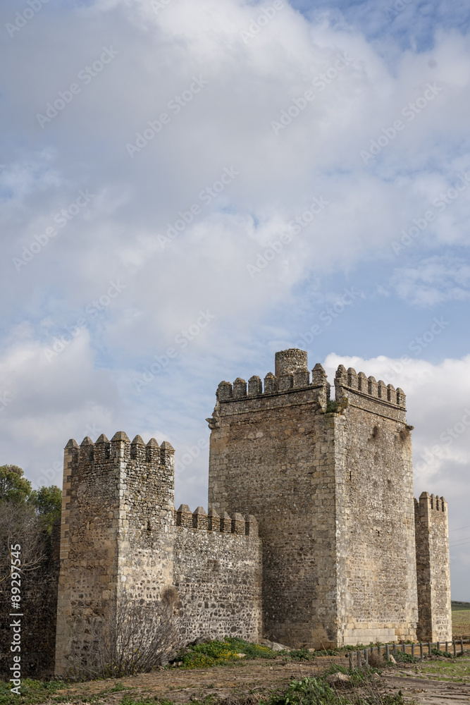 Castillo de las Aguzaderas en la provincia de Sevilla