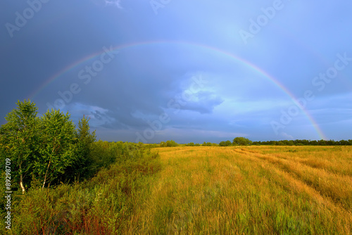 Rainbow in a field on a background of a stormy sky