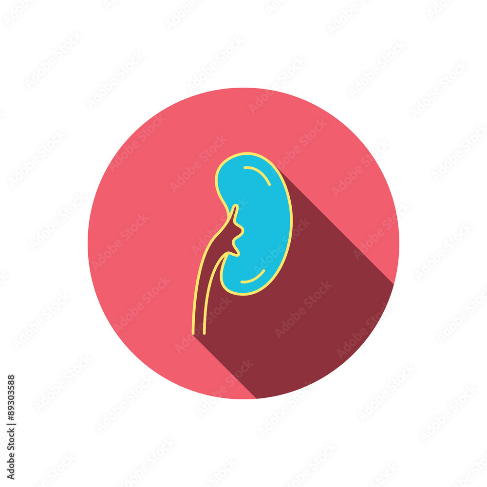 Kidney icon. Transplantation organ sign. Kidney icon. Transplantation organ sign.