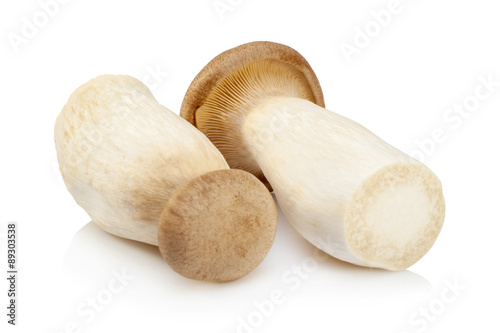 King Oyster mushroom (Eringi) isolated on white backgroud.