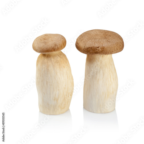 King Oyster mushroom (Eringi) isolated on white backgroud.